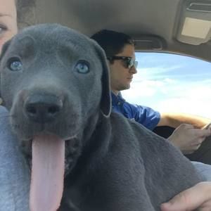 Meet your Posher, John